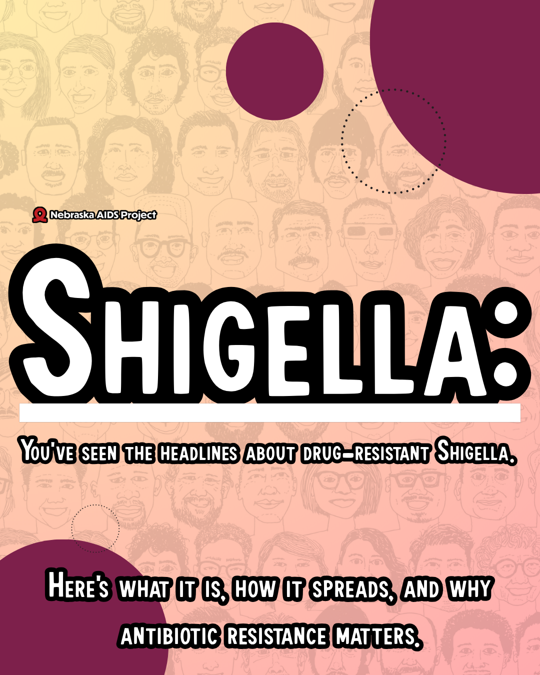 Shigella